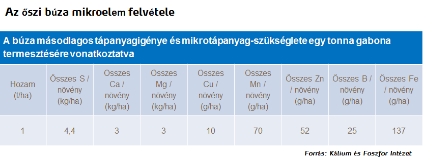 búza hozam