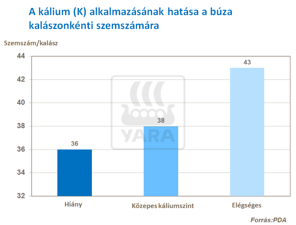 búza hozam