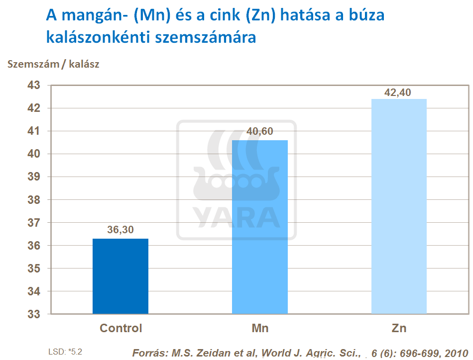 búza hozam