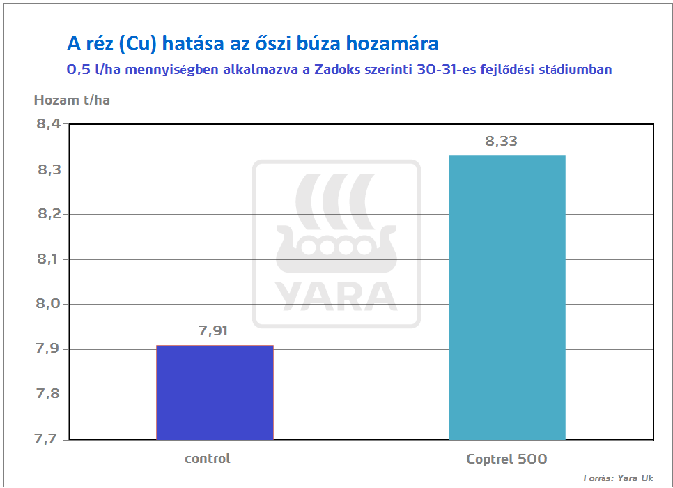 búza hozam