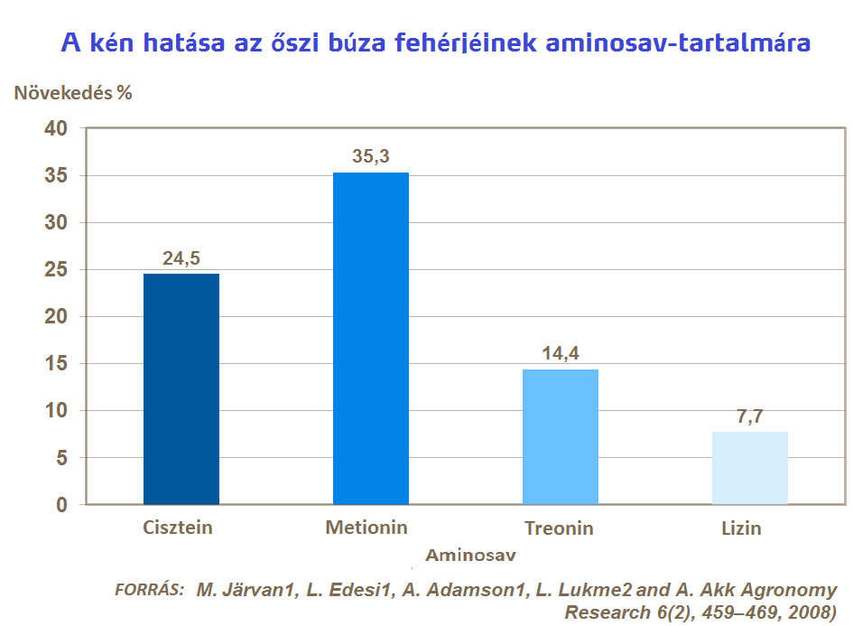 búza minőség