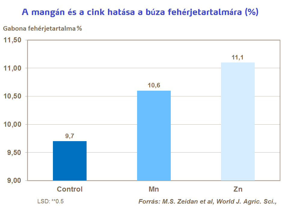 búza minőség