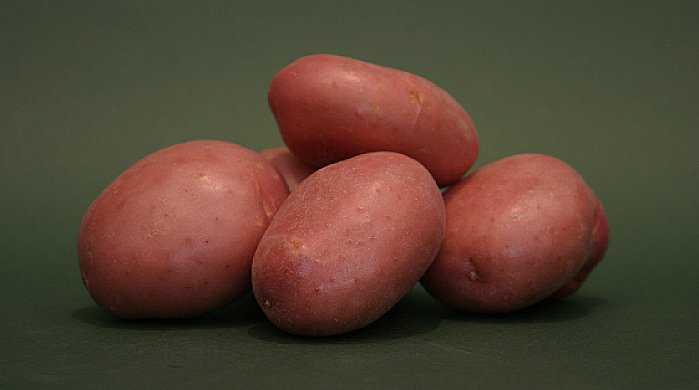 Vörös héjú burgonya burgonya tények