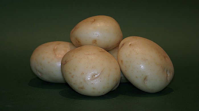 Fehér héjú burgonya burgonya tények
