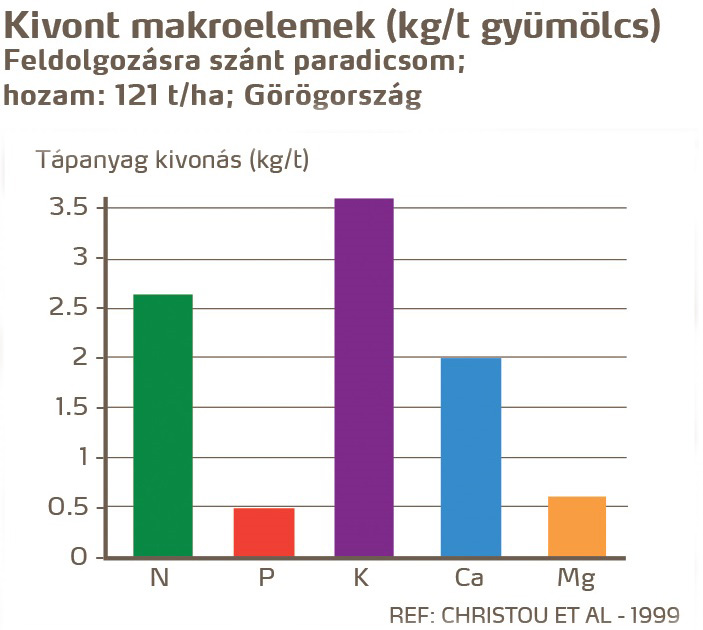 paradicsom tények