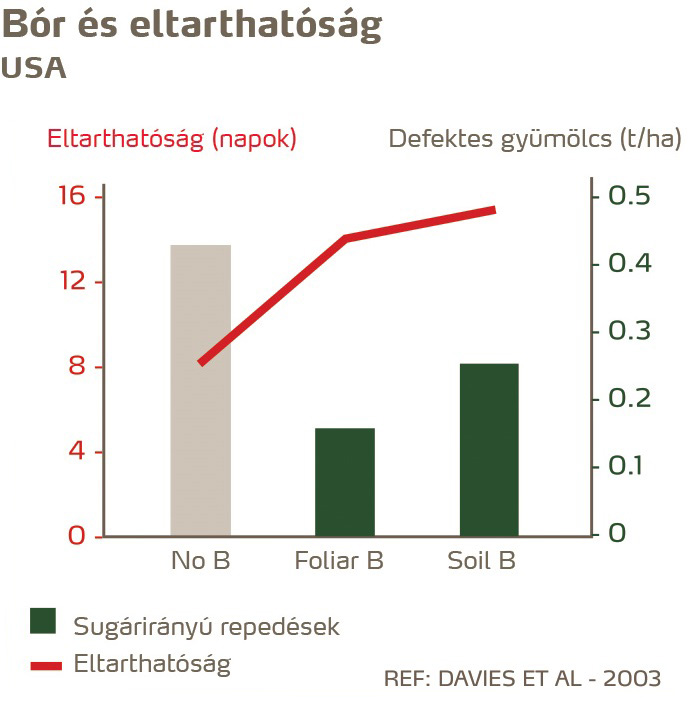 paradicsom minőség