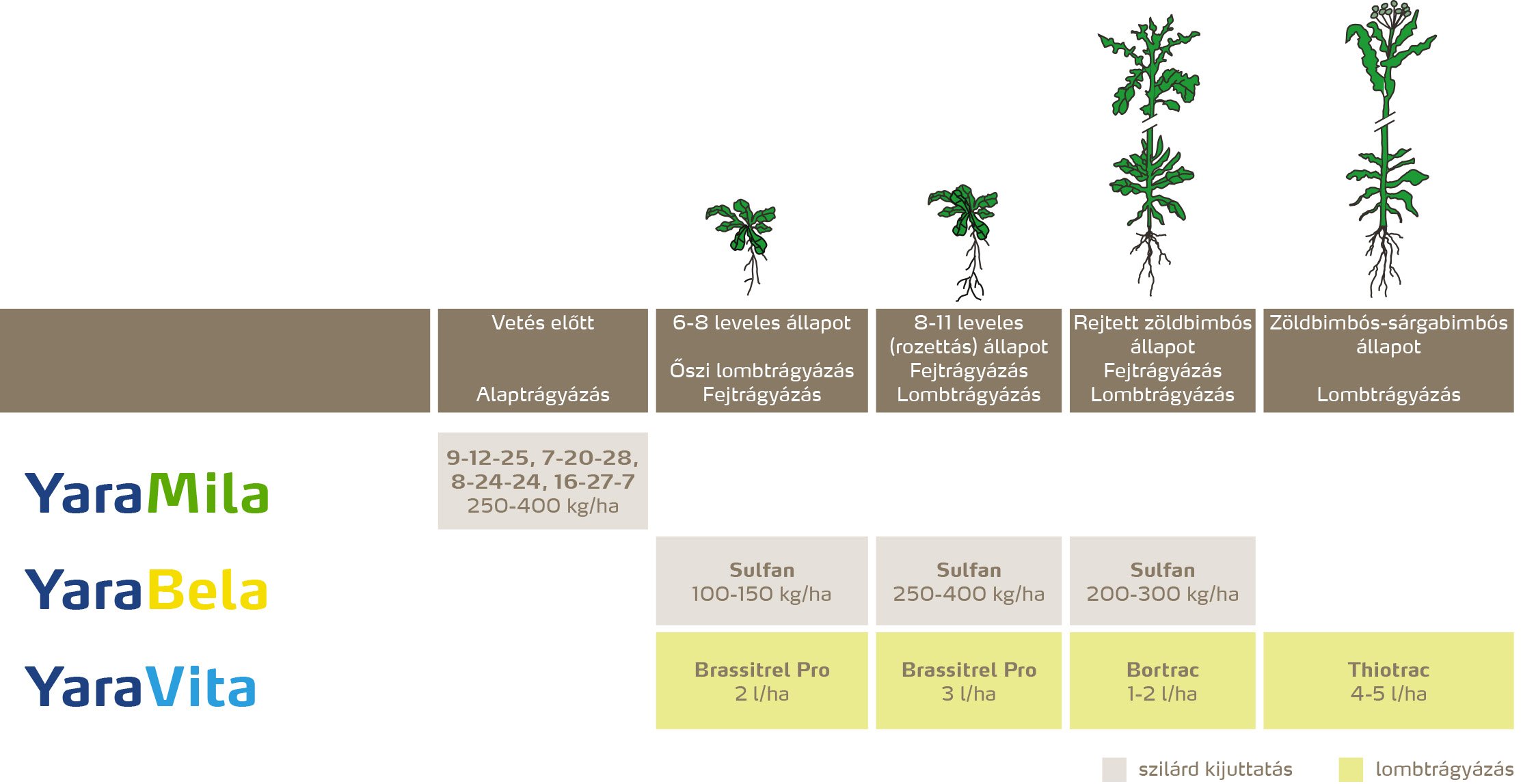 szantofoldi_2020_feno_Őszi káposztarepce copy.jpg