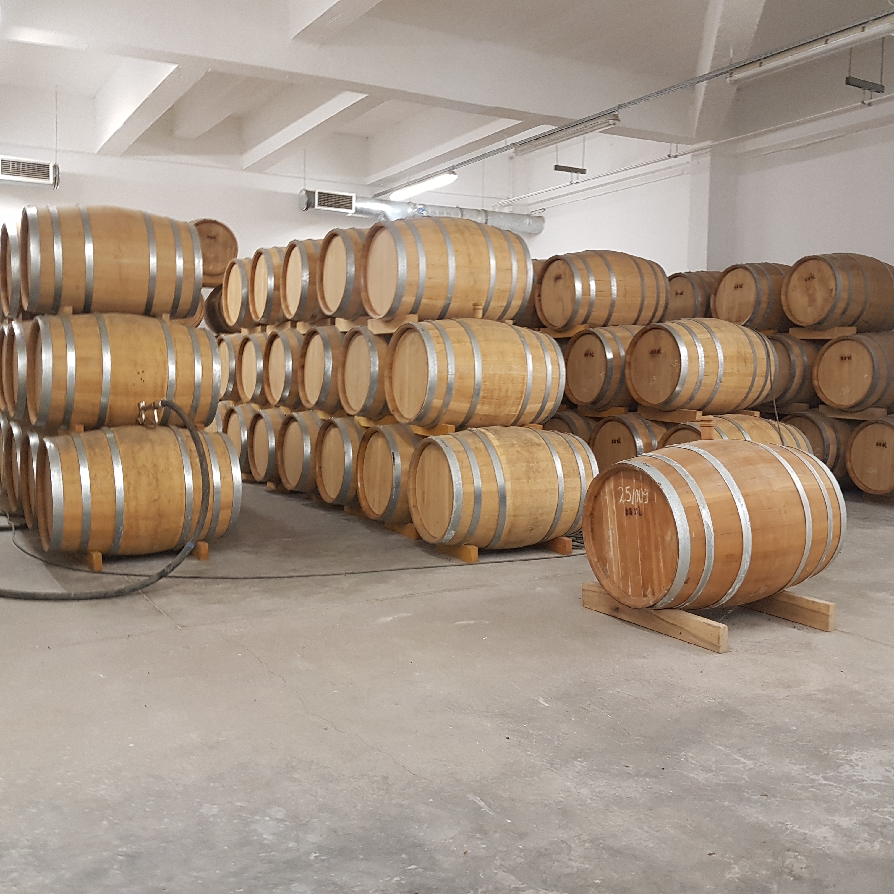 Fahordos érlelés-2.jpg