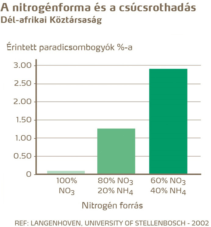 paradicsom egészség
