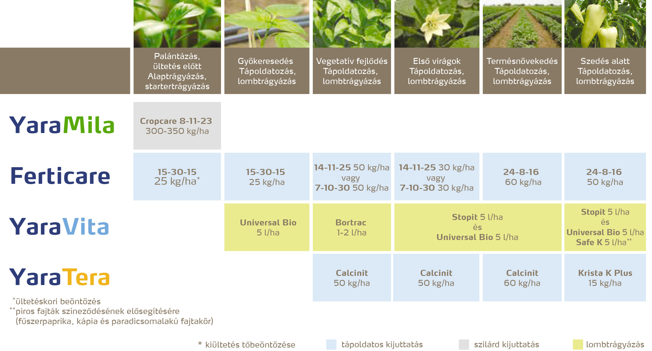 zoldseg_2020_feno_paprika copy.jpg