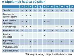 tápelemek hatása búzában