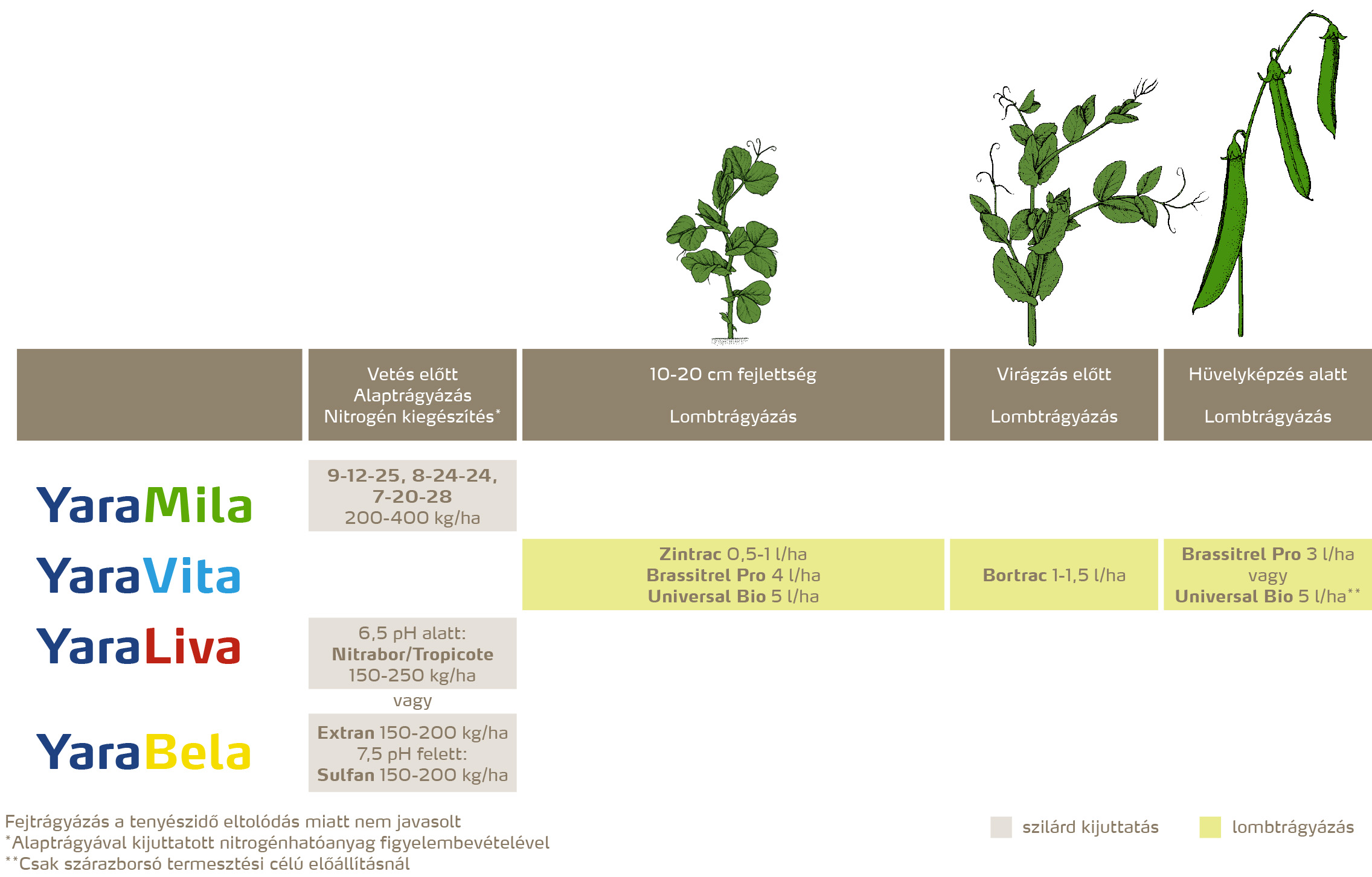 szantofoldi_2020_feno_Zöldborsó copy.jpg