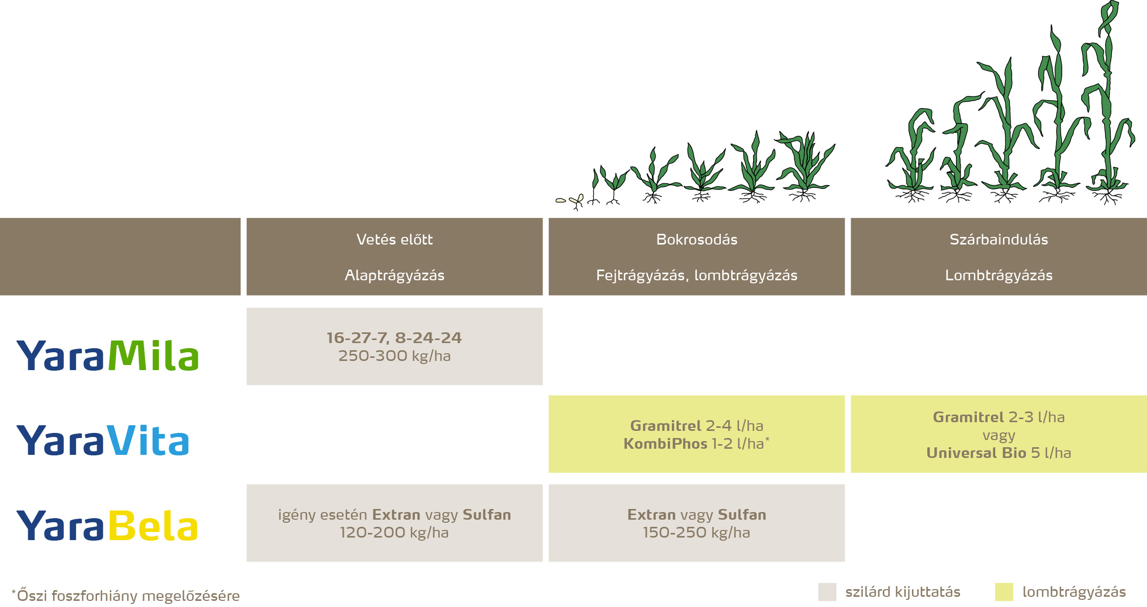szantofoldi_2020_feno_Őszi árpa copy.jpg