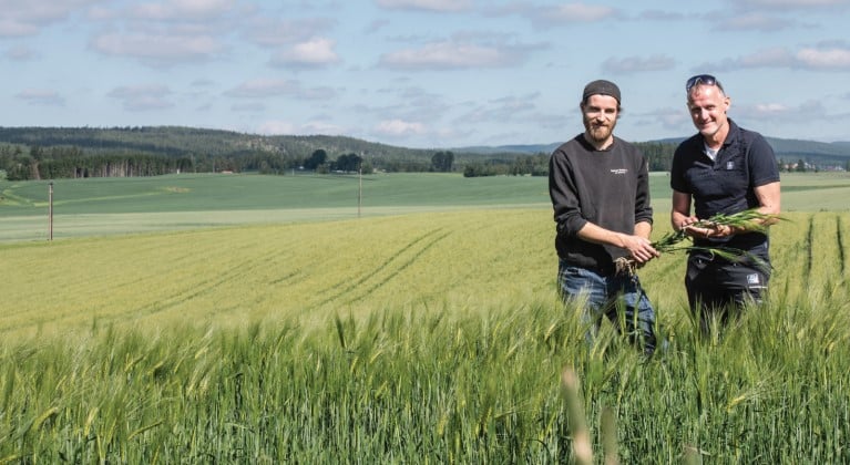 Megjelent a Yara magazin legújabb száma