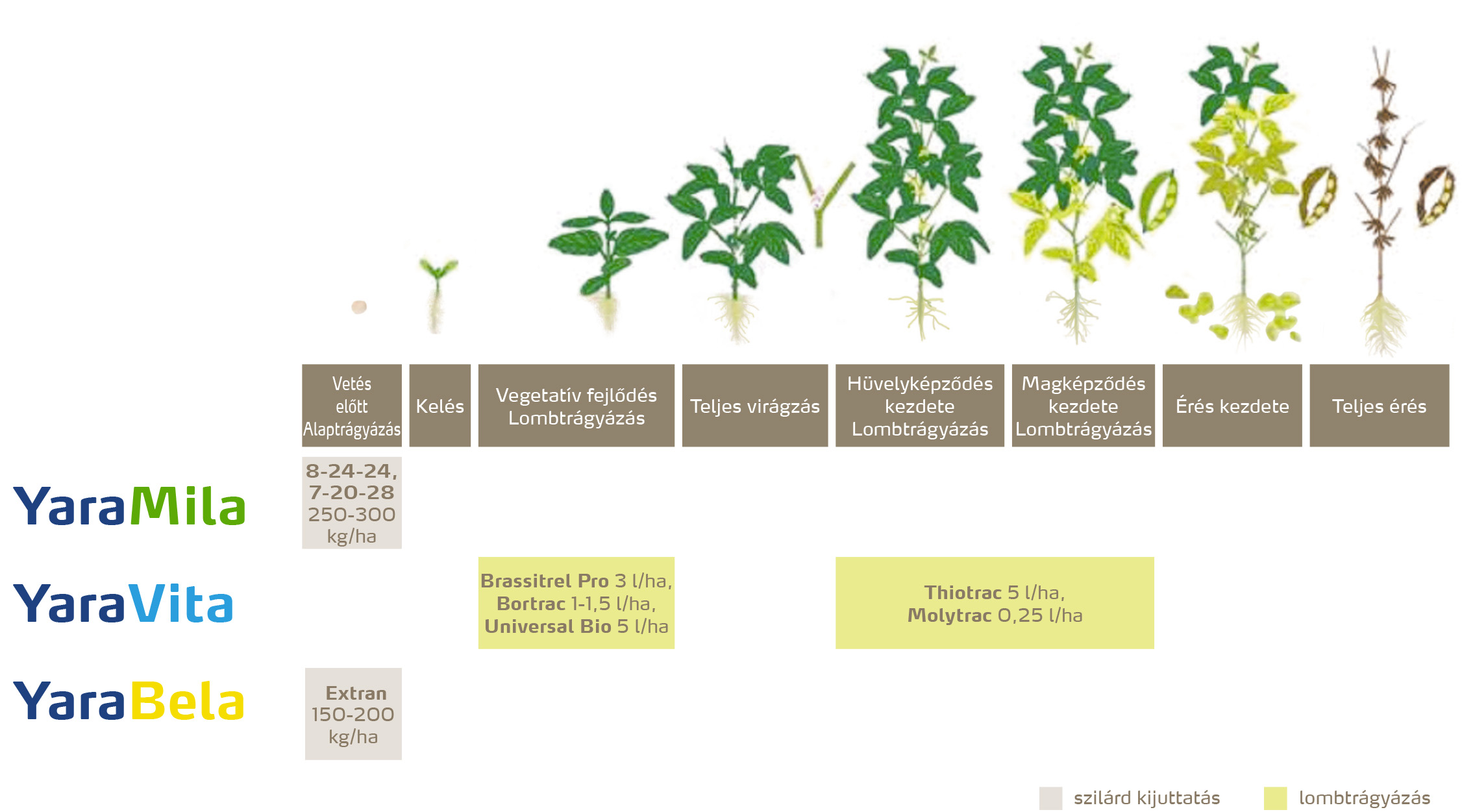szantofoldi_2020_feno_Szója copy.jpg