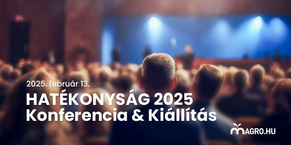konferencia