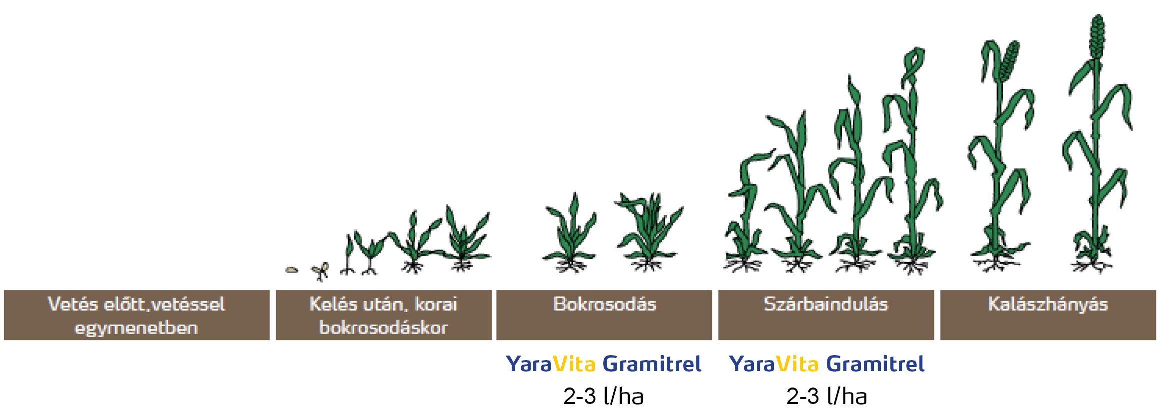 gramitrel technologia