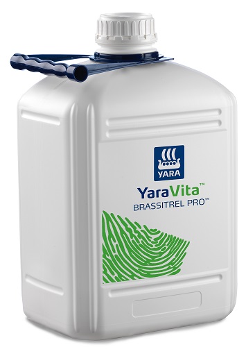 YV Brassitrel Pro.jpg