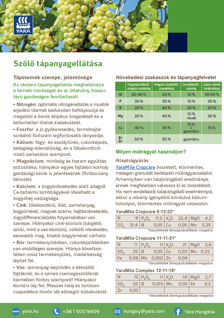 szolo