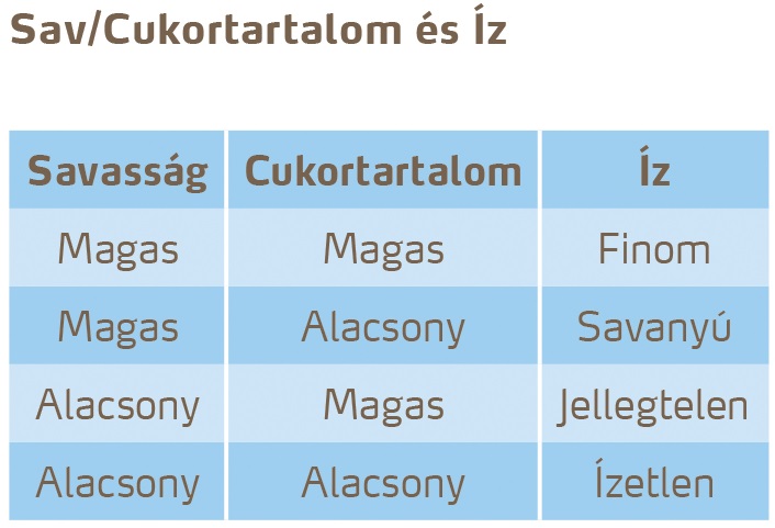 paradicsom minőség