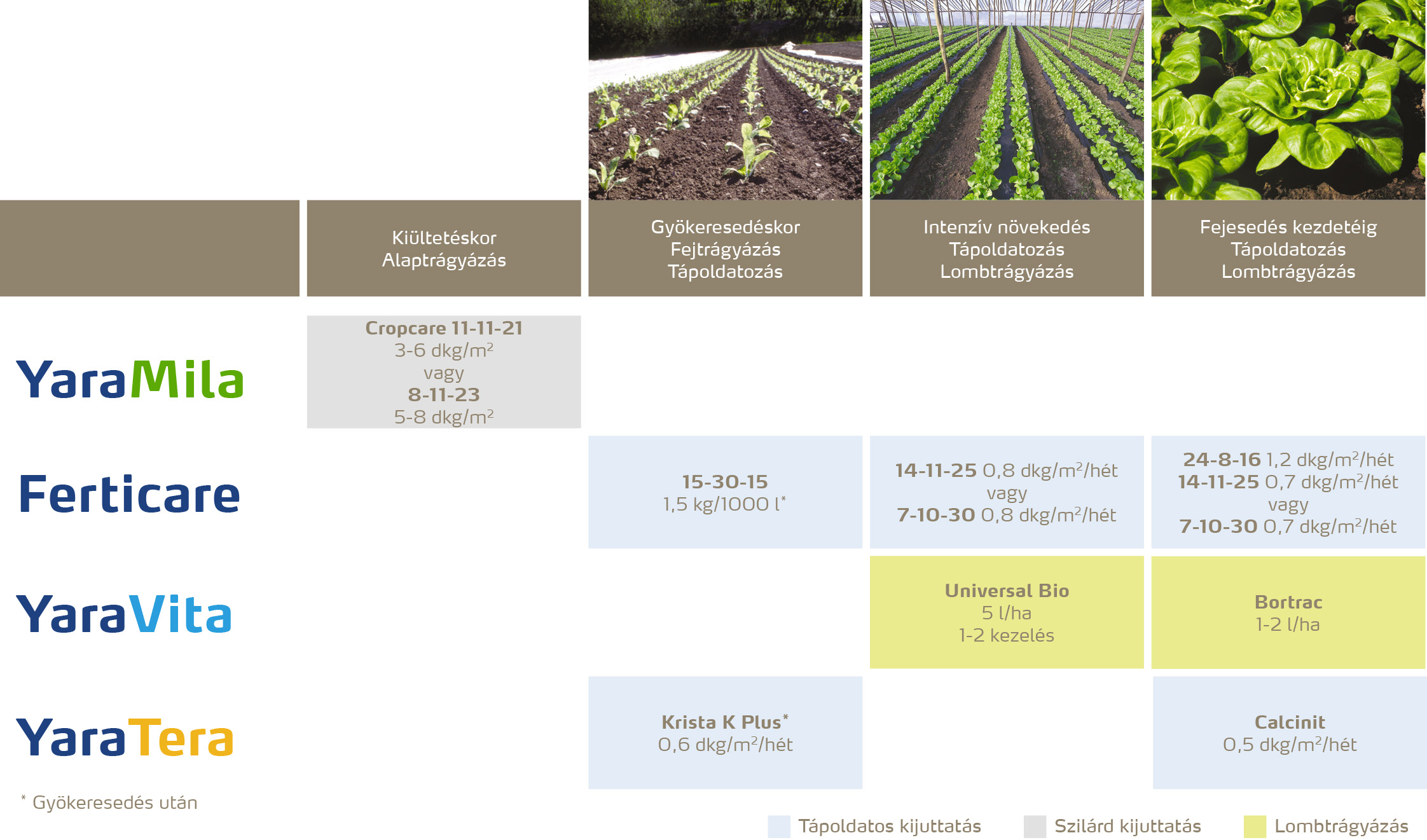 zoldseg_2020_feno_saláta copy.jpg