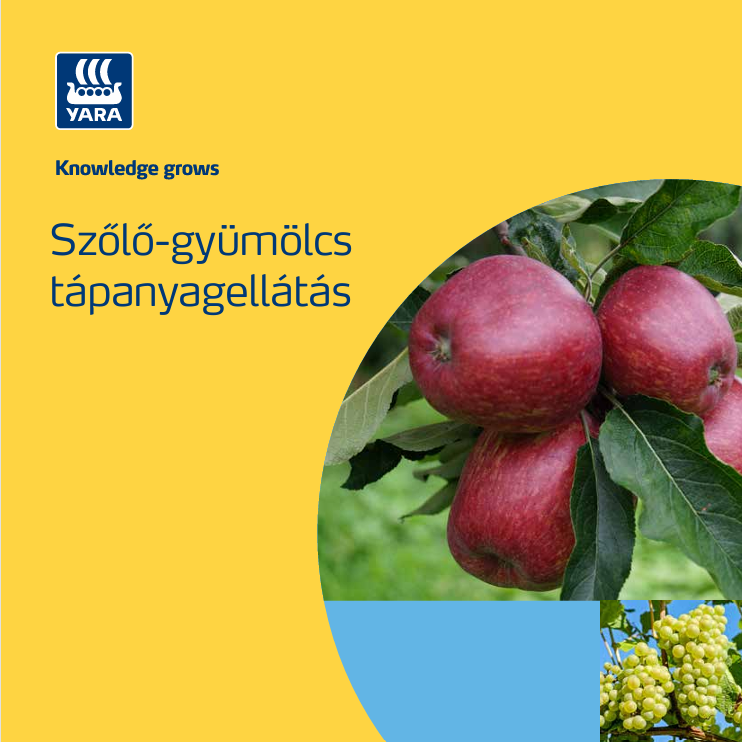 gyumolcsos