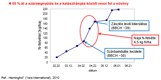 Őszi búza kumulált nitrogénfelvétele virágzásig