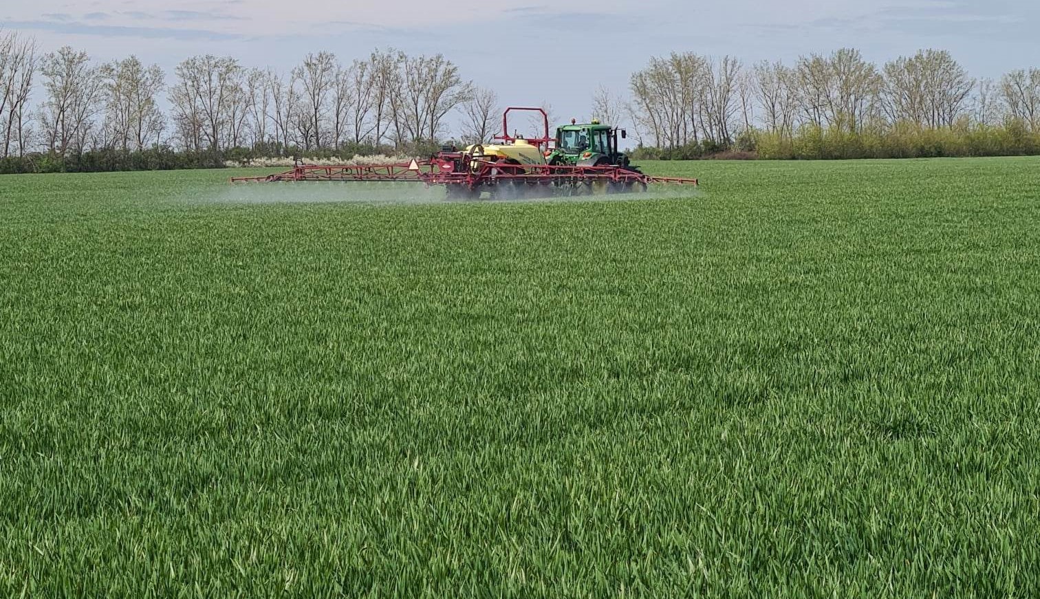 búza lombtrágyázás