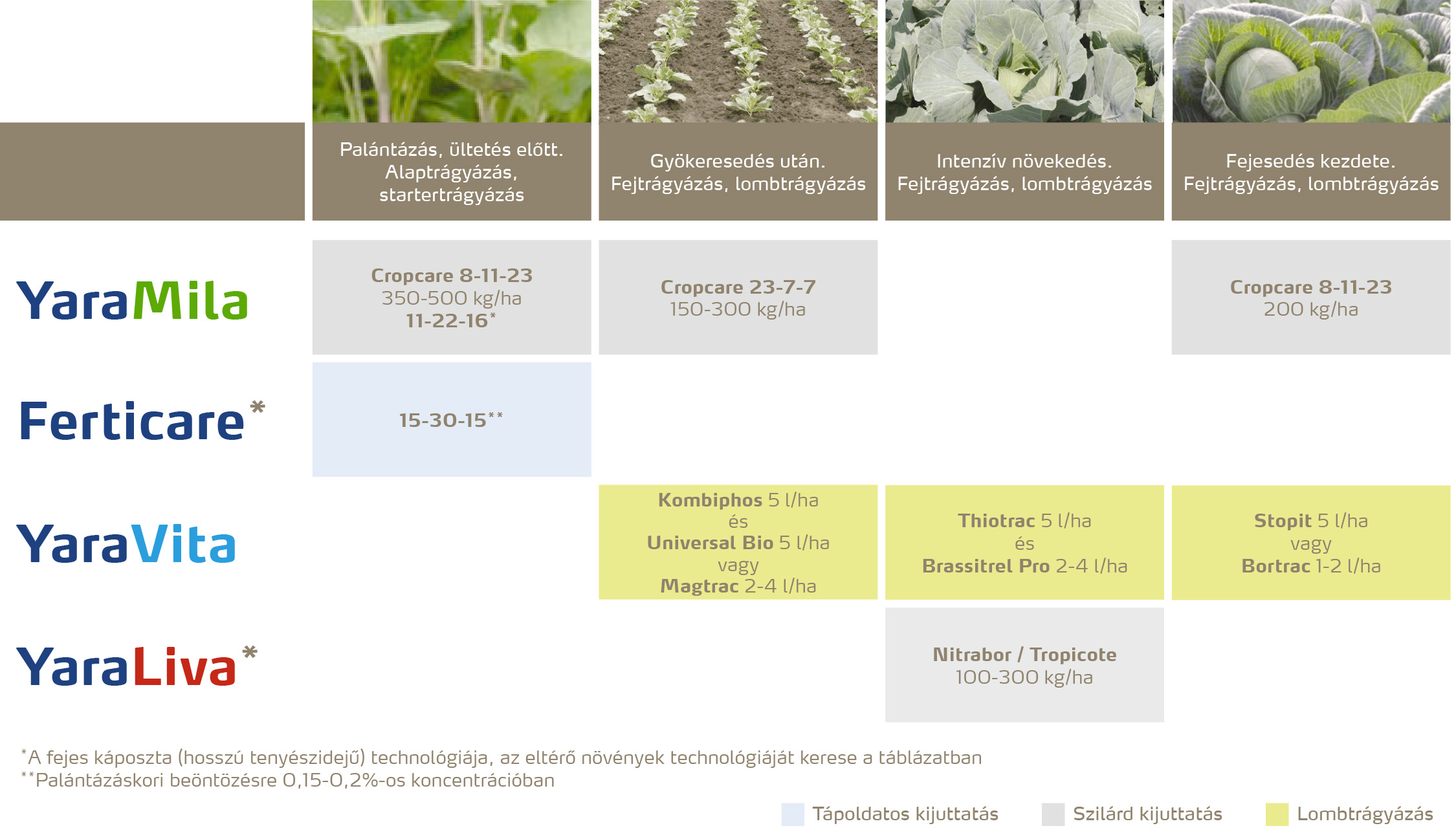 zoldseg_2020_feno_Káposztafélék copy.jpg