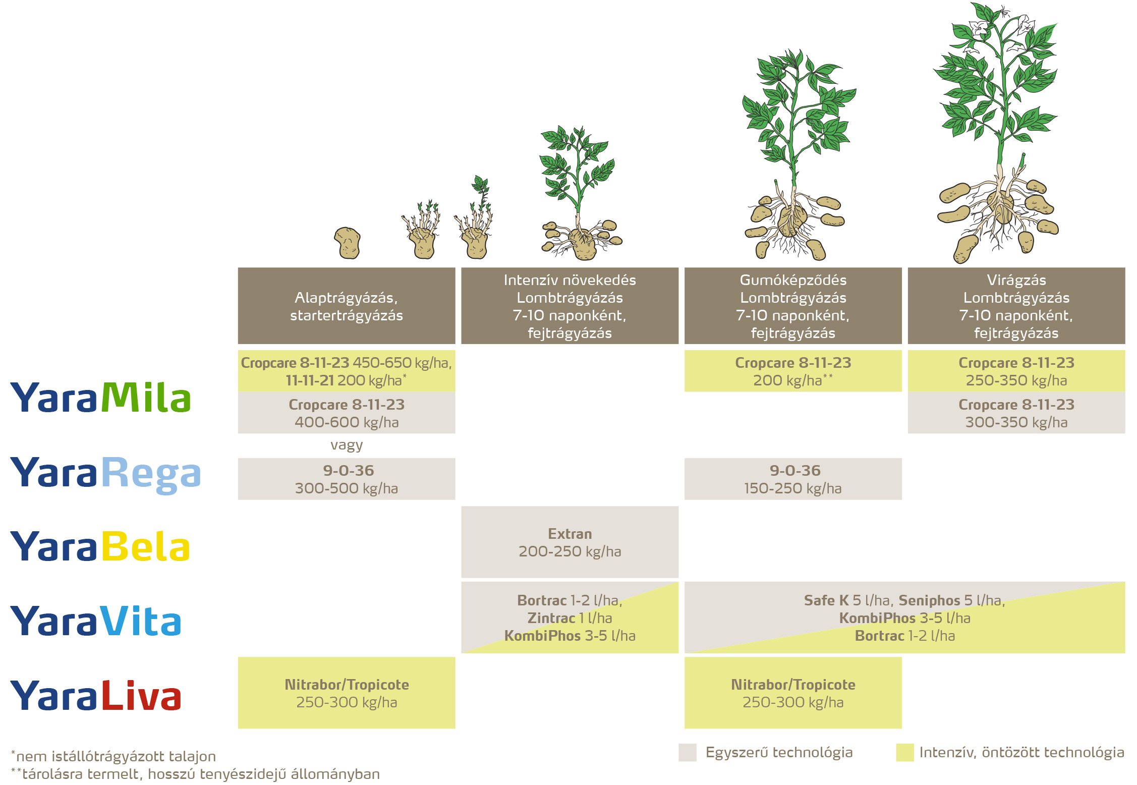 szantofoldi_2020_feno_Burgonya copy.jpg