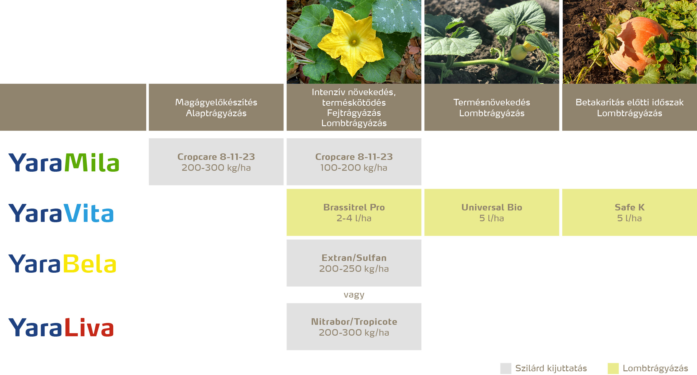 zoldseg_2020_feno_Tök copy.jpg