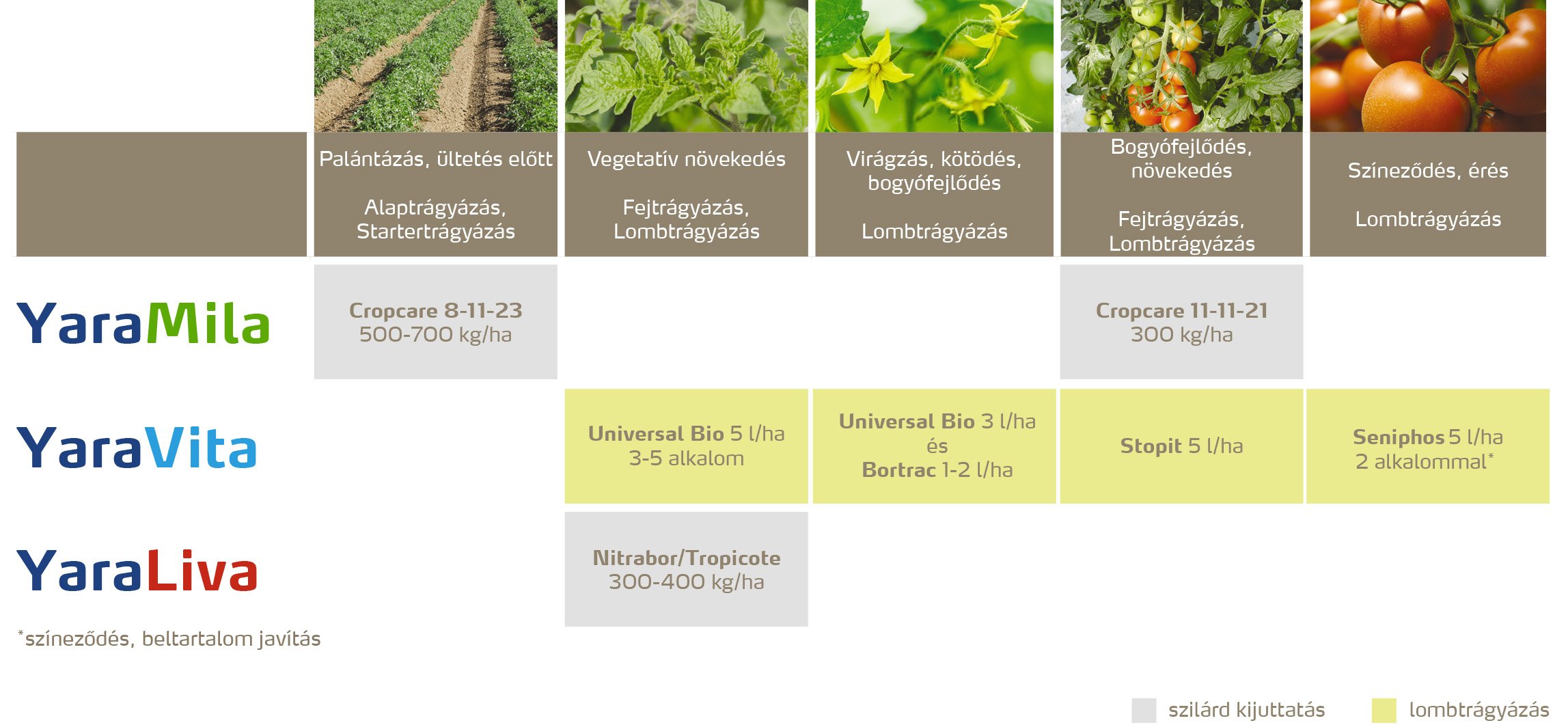 zoldseg_2020_feno_Paradicsom copy.jpg